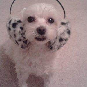 Meet your Posher, Eun ok